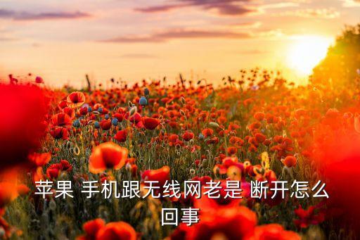 蘋果手機(jī)wifi自動(dòng)斷開是什么原因
