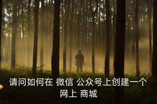 請問如何在 微信 公眾號上創(chuàng)建一個網(wǎng)上 商城