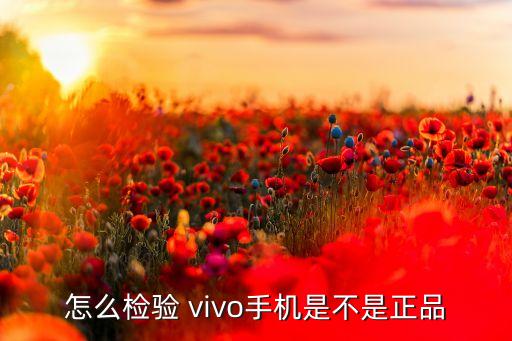 vivo數(shù)據(jù)線真假辨別,怎樣辨別Vivo手機(jī)真假