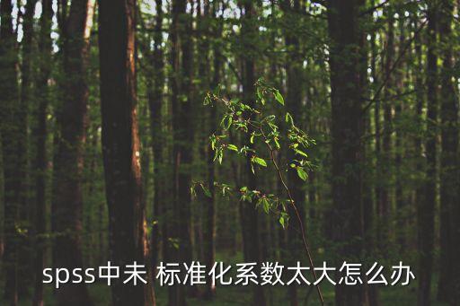 如何進(jìn)行數(shù)據(jù)標(biāo)準(zhǔn)化處理方法,數(shù)據(jù)標(biāo)準(zhǔn)化處理方法spssau