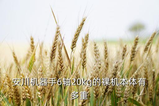 安川機(jī)器手6軸20kg的裸機(jī)本體有多重