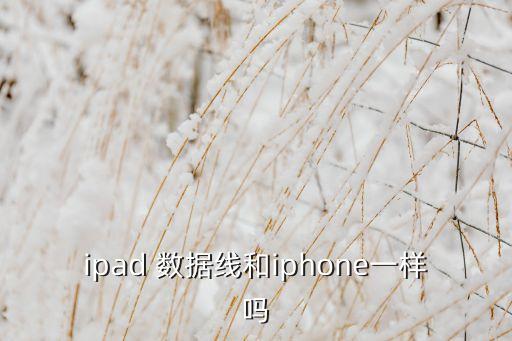 ipad 數(shù)據(jù)線和iphone一樣嗎