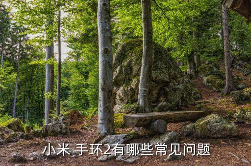小米手環(huán)2同步數(shù)據(jù)閃退