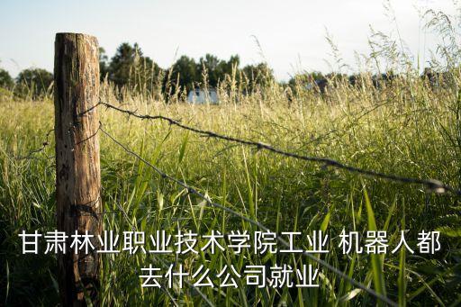 甘肅林業(yè)職業(yè)技術(shù)學(xué)院工業(yè) 機(jī)器人都去什么公司就業(yè)