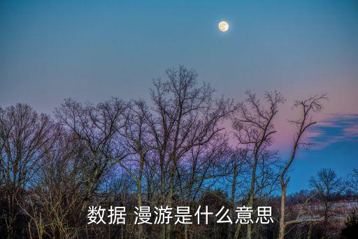 中國電信25漫游數(shù)據(jù)