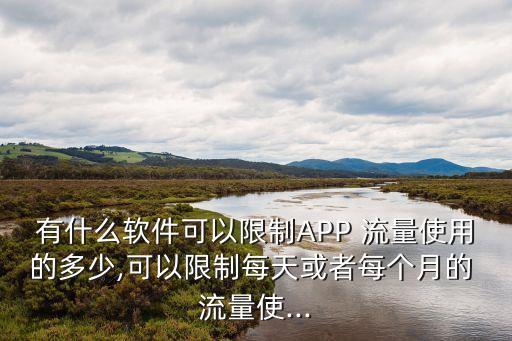有什么軟件可以限制APP 流量使用的多少,可以限制每天或者每個(gè)月的 流量使...