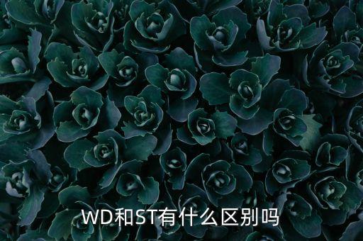 西數(shù)是西部數(shù)據(jù)嗎,紫光西數(shù)和西部數(shù)據(jù)的關(guān)系