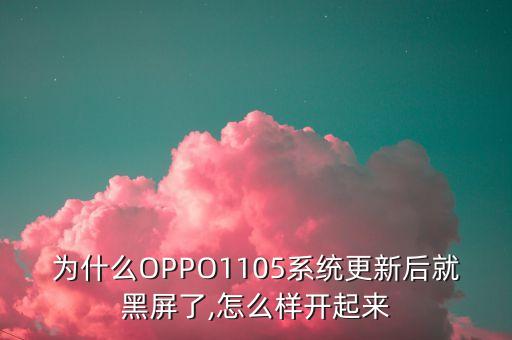 為什么OPPO1105系統(tǒng)更新后就黑屏了,怎么樣開起來