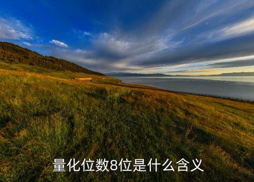  量化位數(shù)8位是什么含義