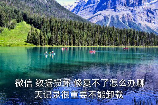  微信 數(shù)據(jù)損壞 修復(fù)不了怎么辦聊天記錄很重要不能卸載