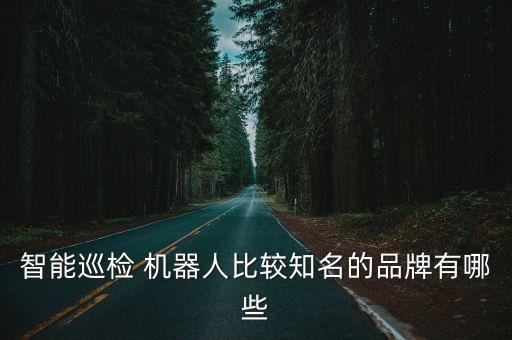智能巡檢 機(jī)器人比較知名的品牌有哪些