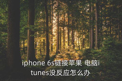 iphone 6s鏈接蘋果 電腦itunes沒反應(yīng)怎么辦