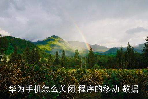 華為手機(jī)怎么關(guān)閉 程序的移動(dòng) 數(shù)據(jù)
