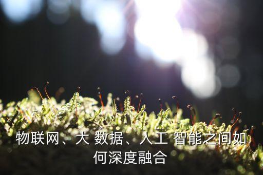 物聯(lián)網(wǎng)、大 數(shù)據(jù)、人工 智能之間如何深度融合