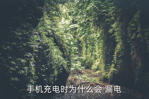 數(shù)據(jù)線會漏電嗎,iphone數(shù)據(jù)線漏電刺痛