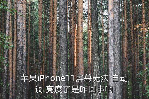 亮度自動(dòng)調(diào)節(jié)失靈,iphone屏幕亮度自動(dòng)調(diào)節(jié)失靈