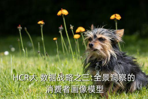 大數(shù)據(jù)尋找消費(fèi)者,如何對(duì)消費(fèi)者數(shù)據(jù)進(jìn)行分析