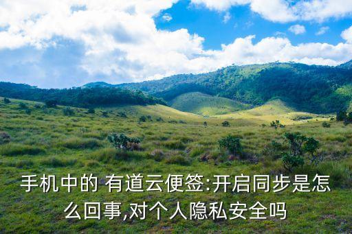 手機中的 有道云便簽:開啟同步是怎么回事,對個人隱私安全嗎