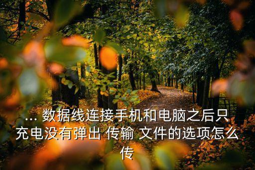 數(shù)據(jù)線不能傳輸文件,有的數(shù)據(jù)線不能傳輸文件