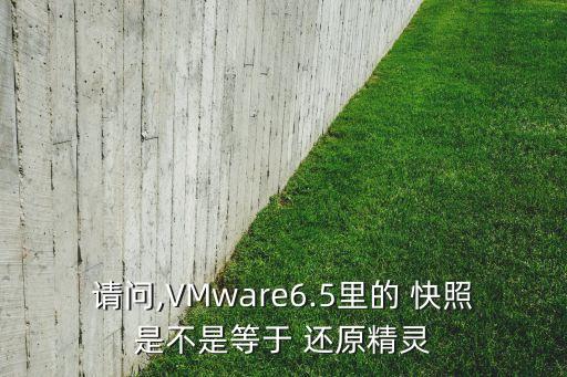 vmware 快照 數(shù)據(jù)還原,存儲(chǔ)服務(wù)器的數(shù)據(jù)快照計(jì)劃與還原