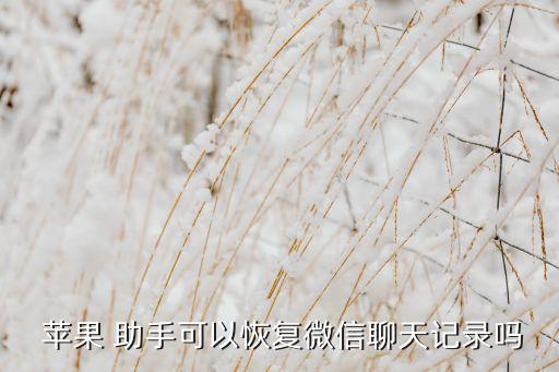 蘋果助手?jǐn)?shù)據(jù),蘋果愛思助手恢復(fù)數(shù)據(jù)
