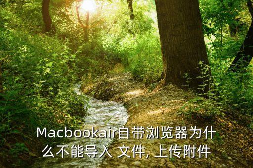 Macbookair自帶瀏覽器為什么不能導(dǎo)入 文件, 上傳附件