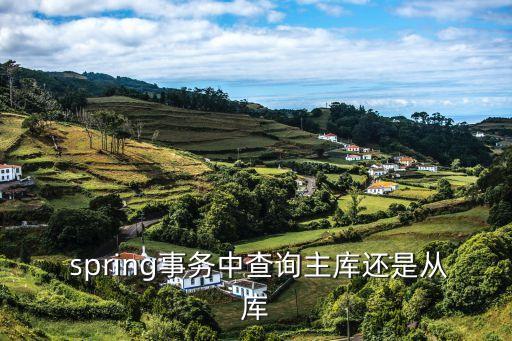  spring事務(wù)中查詢主庫(kù)還是從庫(kù)
