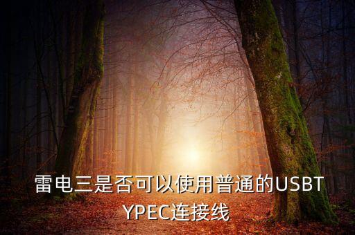  雷電三是否可以使用普通的USBTYPEC連接線