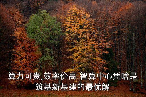 算力可貴,效率價(jià)高:智算中心憑啥是筑基新基建的最優(yōu)解