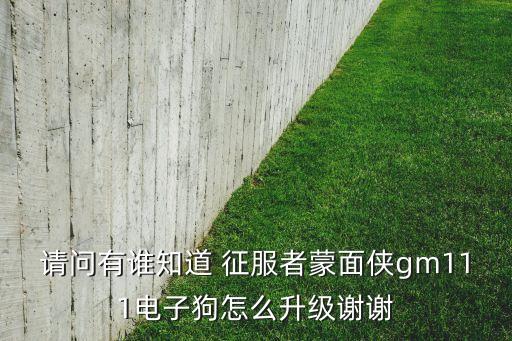 請(qǐng)問(wèn)有誰(shuí)知道 征服者蒙面?zhèn)bgm111電子狗怎么升級(jí)謝謝
