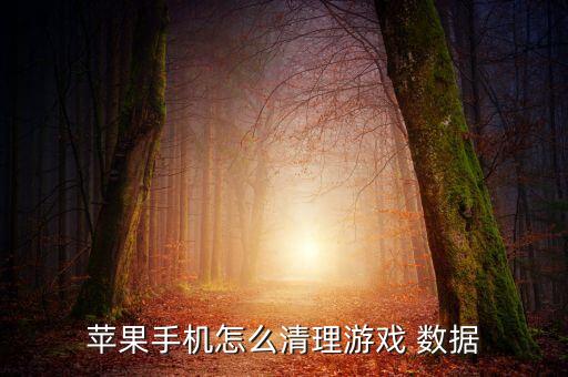 蘋果手機怎么清理游戲 數(shù)據(jù)
