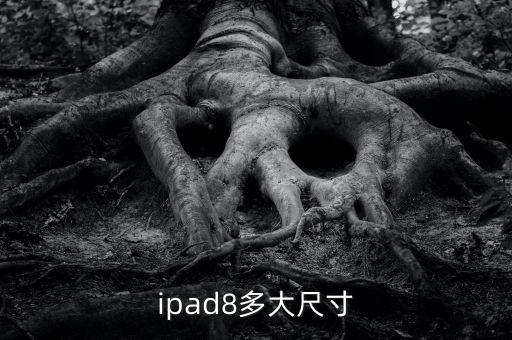 ipad8多大尺寸