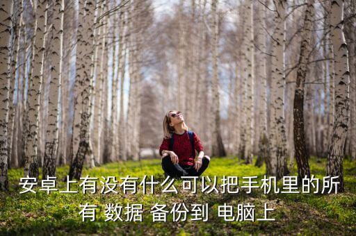  安卓上有沒有什么可以把手機(jī)里的所有 數(shù)據(jù) 備份到 電腦上