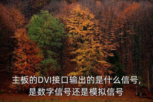 dvi數(shù)據(jù)格式,視頻dvi格式