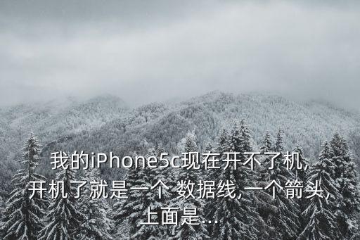 我的iPhone5c現(xiàn)在開(kāi)不了機(jī),開(kāi)機(jī)了就是一個(gè) 數(shù)據(jù)線,一個(gè)箭頭,上面是...