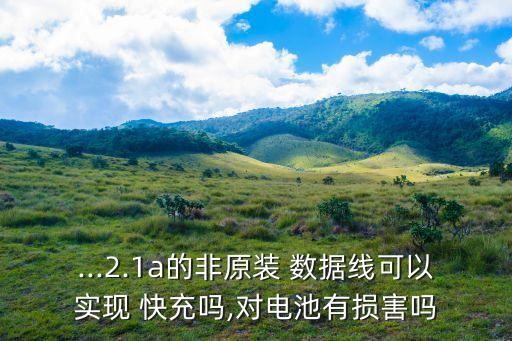 ...2.1a的非原裝 數(shù)據(jù)線可以實現(xiàn) 快充嗎,對電池有損害嗎
