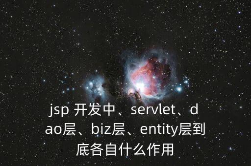 jsp 開發(fā)中、servlet、dao層、biz層、entity層到底各自什么作用