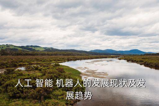  人工 智能 機(jī)器人的發(fā)展現(xiàn)狀及發(fā)展趨勢(shì)
