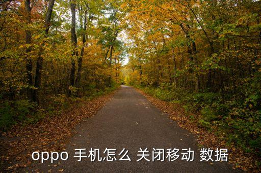 oppo 手機怎么 關(guān)閉移動 數(shù)據(jù)