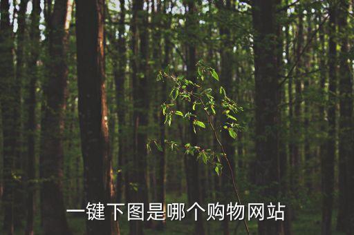 美麗說 數(shù)據(jù)包