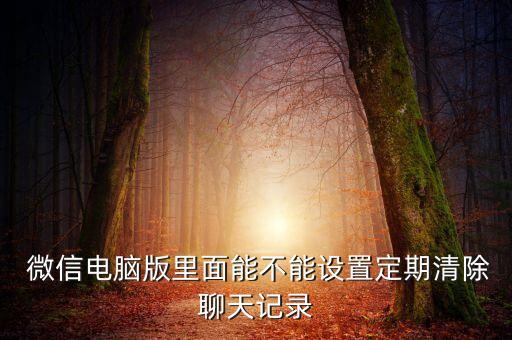  微信電腦版里面能不能設(shè)置定期清除聊天記錄