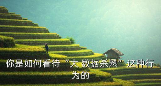 你是如何看待“大 數(shù)據(jù)殺熟”這種行為的