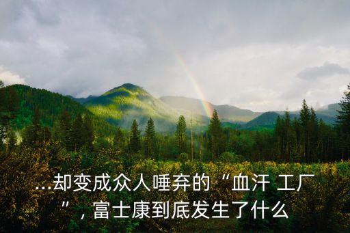 ...卻變成眾人唾棄的“血汗 工廠”, 富士康到底發(fā)生了什么