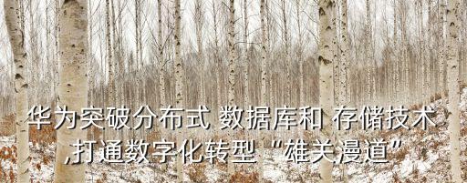 存儲雙活與數(shù)據(jù)庫雙活