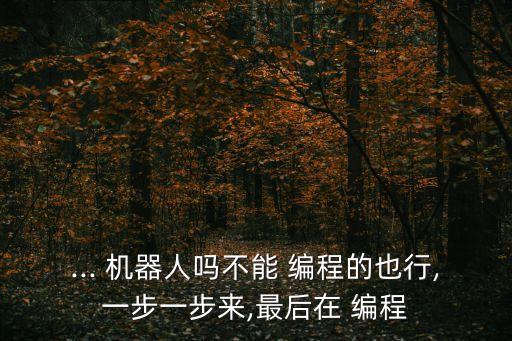 ... 機(jī)器人嗎不能 編程的也行,一步一步來(lái),最后在 編程