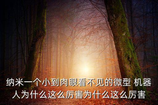 納米一個小到肉眼看不見的微型 機器人為什么這么厲害為什么這么厲害