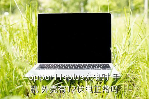 oppor11splus充電時 手機 外殼有12伏電正常嗎