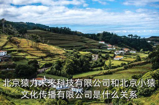 北京猿力未來科技有限公司和北京小猿文化傳播有限公司是什么關系