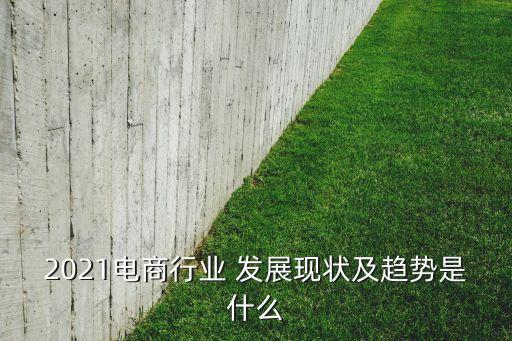 中國目前的電子商務(wù)發(fā)展情況(數(shù)據(jù)統(tǒng)計)