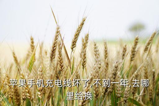 蘋果手機(jī)充電線壞了,不到一年,去哪里給換